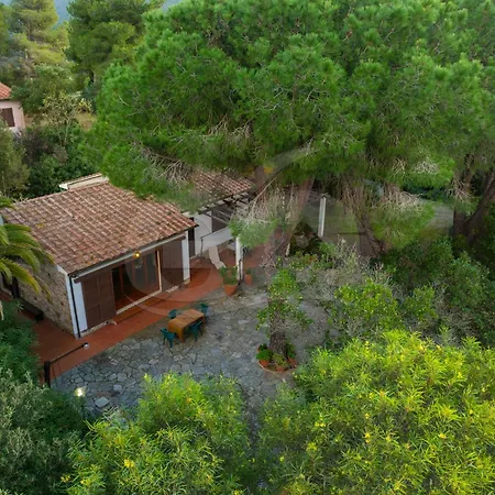 Villa Ai Pini A Punta Perla - Goelba