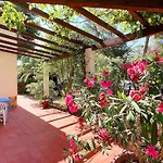 Ai Pini A Punta Perla - Goelba 빌라