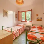 Ai Pini A Punta Perla - Goelba * 카폴리베리