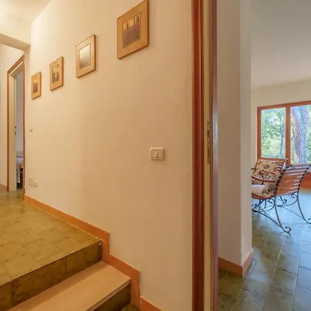 Ai Pini A Punta Perla - Goelba Каполивери