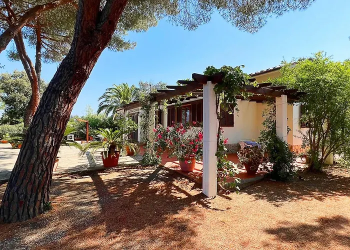 Ai Pini A Punta Perla - Goelba * Capoliveri (Isola d'Elba)